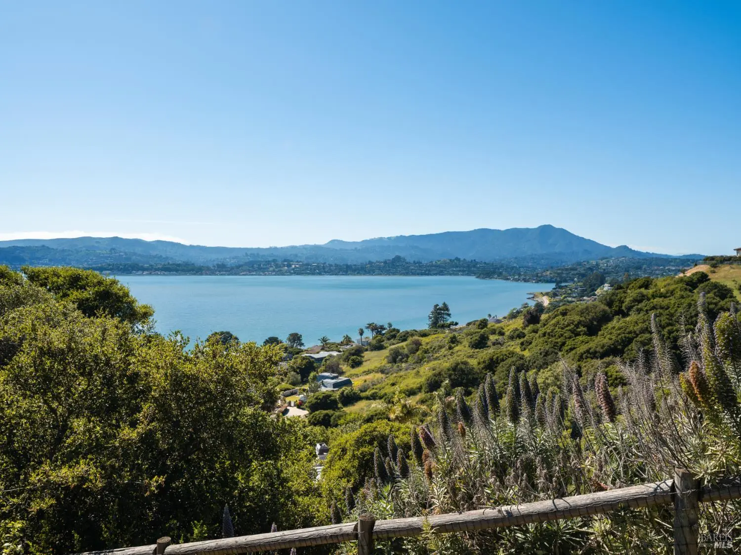 Bay views from Tiburon