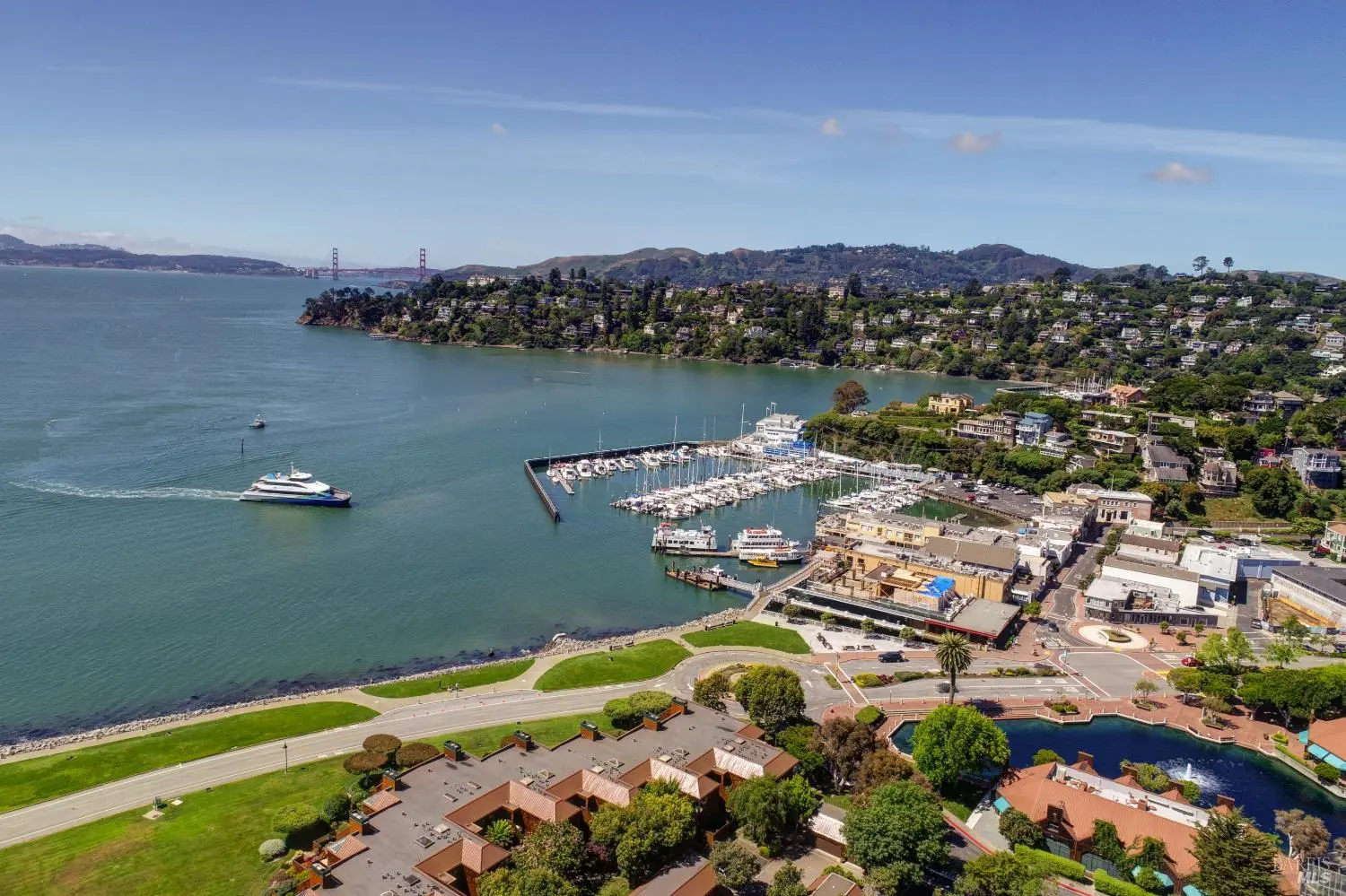 Tiburon marina
